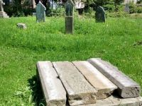 Churchyard wildflowers