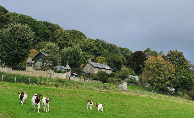 Nannerth Fawr Farm Nannerth Fawr Farm