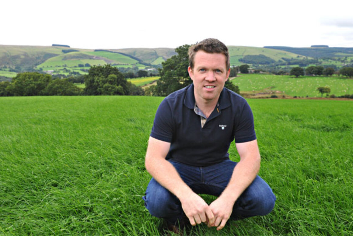 Neil Davies - Trial shows plough versus direct drill reseeding decisions are not clear cut Trial Shows Plough Versus Direct Drill Reseeding Decisions are Not Clear Cut