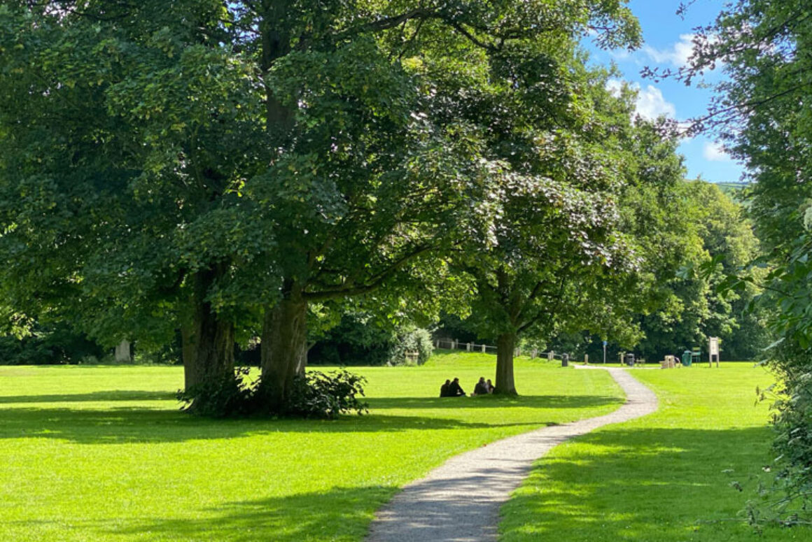 Welsh Government Invests in Newtown Wellbeing Projects Linked to Natural Resources