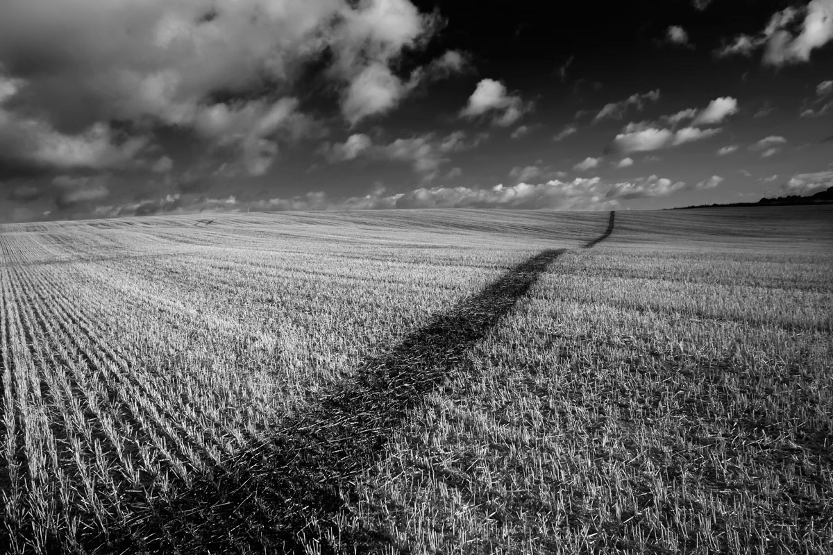 Raglan Field
