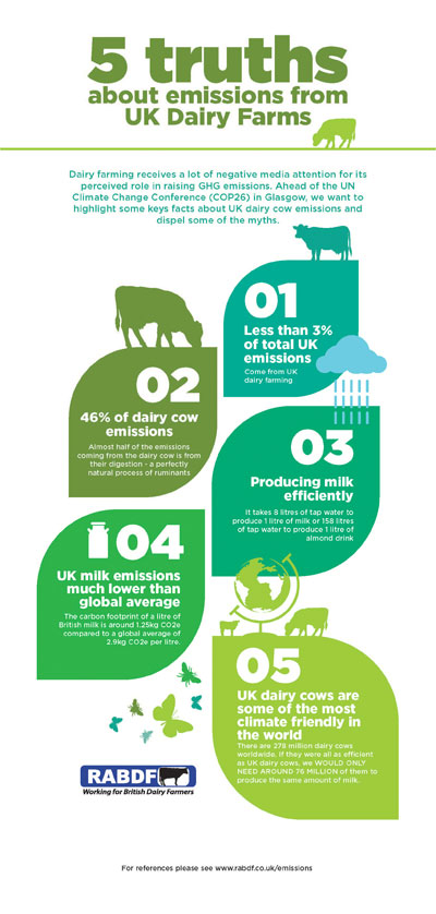 5 Truths Infographic
