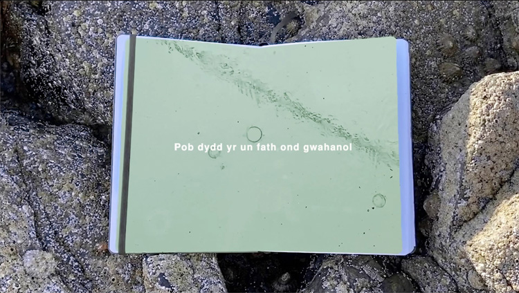 Aberystwyth Arts Centre’s Oriel Lockdown artworks bought for the National Art Collection