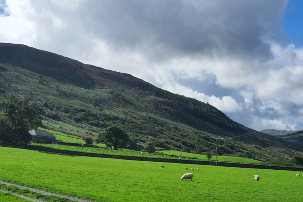 A North Wales Family has Outlined the Challenges of Running a Welsh Hill Farm