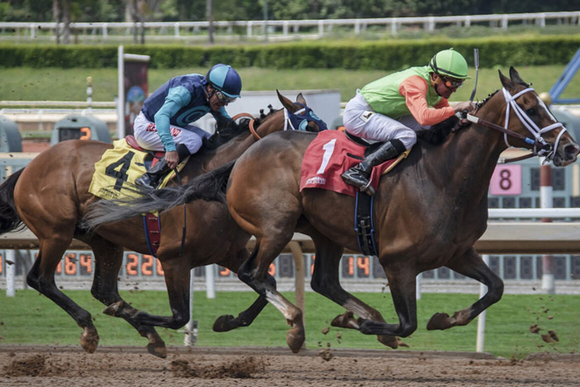 Horse Racing in Wales: Past and Present