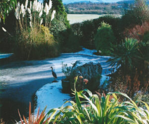 Llys-y-Gwynt