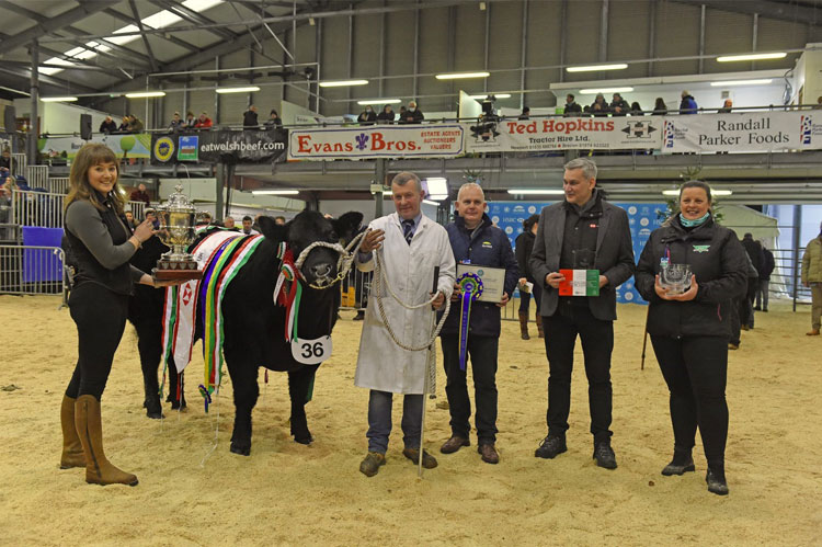 Agricultural community thankful for the return of the Royal Welsh Winter Fair