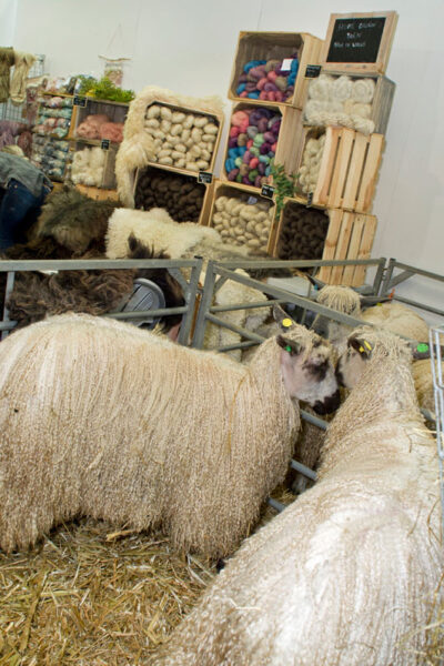 Award-winning Wonderwool Wales announces return in 2022