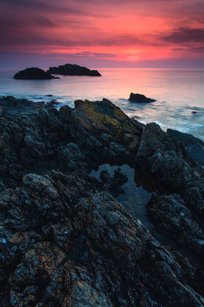 Capturing the Beauty - Anthony Bryant