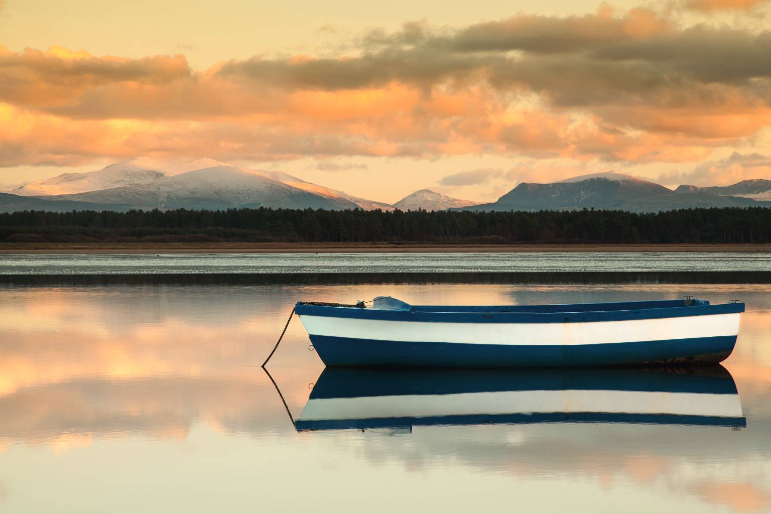 Capturing the Beauty - Anthony Bryant