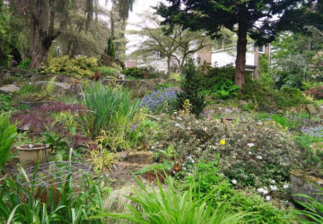 9 Willowbrook Gardens