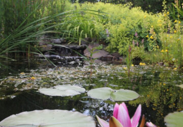 Cefn Cribwr Garden Club