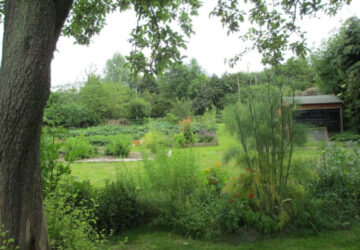 Cultivate Community Garden
