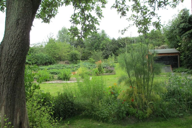 Cultivate Community Garden