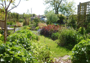 Dinas Powys
