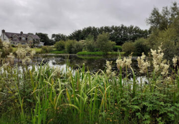 Ffynnon Las