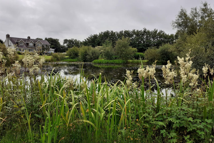 Ffynnon Las