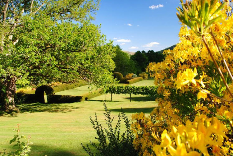 Glanwye