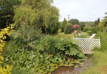 Maes-y-Wertha Farm