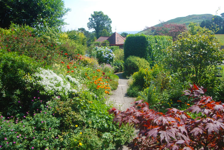 Pensychnant