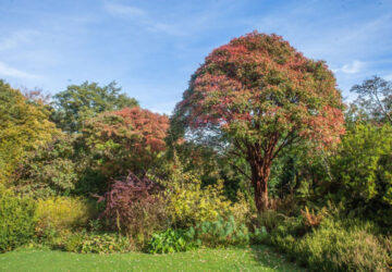 Treborth Botanic Garden