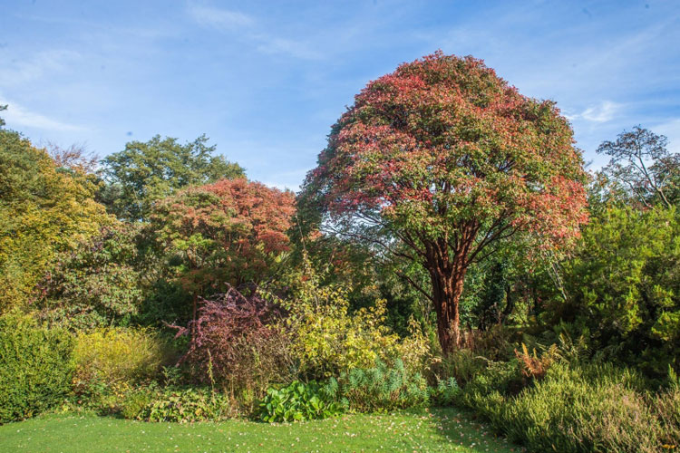 Treborth Botanic Garden