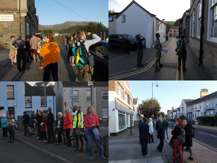 Volunteers gather to survey endangered swifts and house martins Volunteers gather to survey endangered swifts and house martins