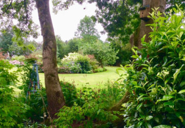 Wenallt Isaf