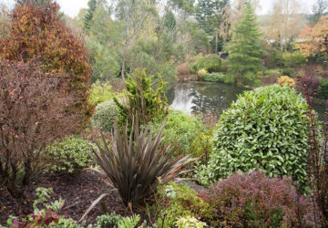 Dingle Nurseries