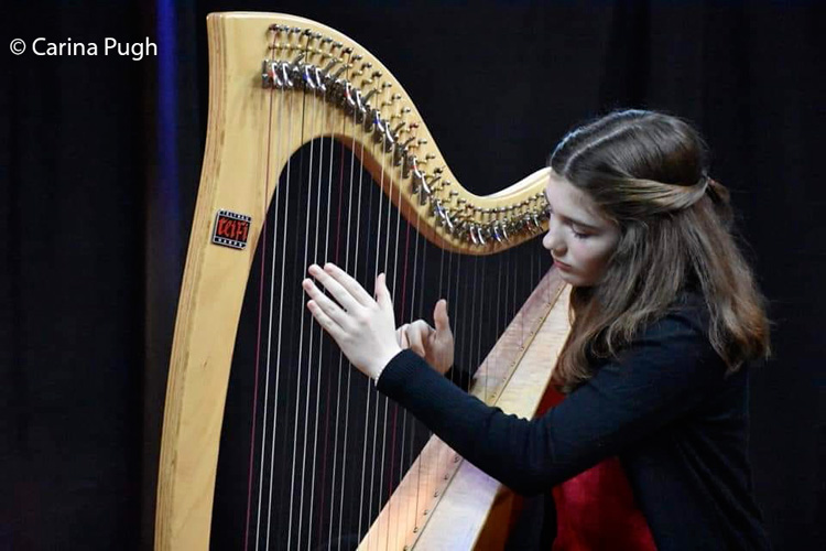 Young student in Gaiman playing our Teifi Harp. Young student in Gaiman playing our Teifi Harp.