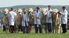 Agriculture and County Shows Agriculture and County Shows