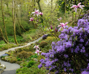 Plas Cadnant Hidden Garden