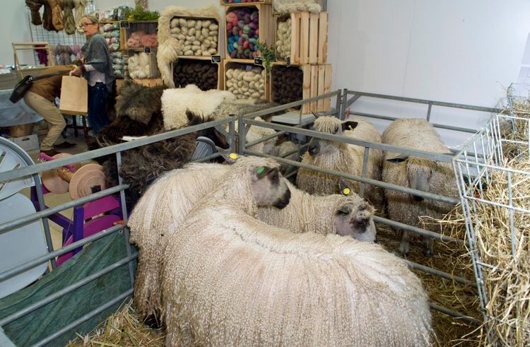 Two Unique Exhibitions to be Unveiled at Wonderwool Wales 2022 - Buy Tickets
