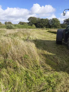 Landfill sites to become haven for wildlife