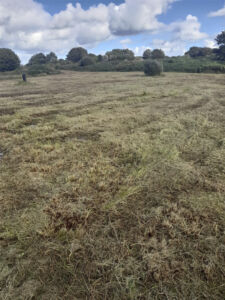 Landfill sites to become haven for wildlife