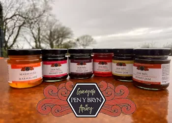 Gwenynfa Pen y Bryn Apiary Gwenynfa Pen y Bryn Apiary