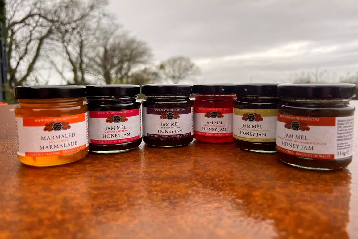 Gwenynfa Pen y Bryn Apiary