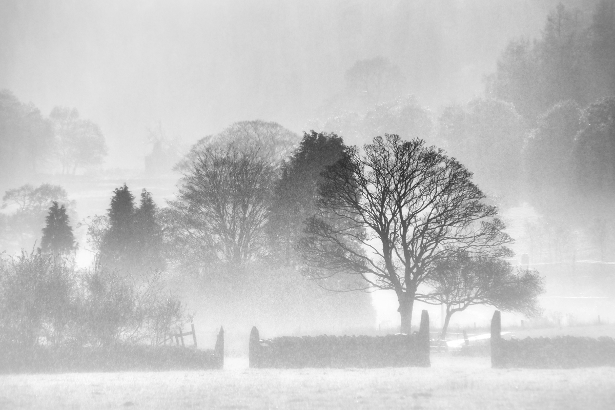 Autumn Mists at Gelerts Grave Autumn Mists at Gelerts Grave