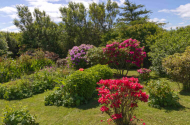 Cae Newydd