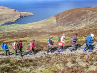 Creative Camino 1st-8th May