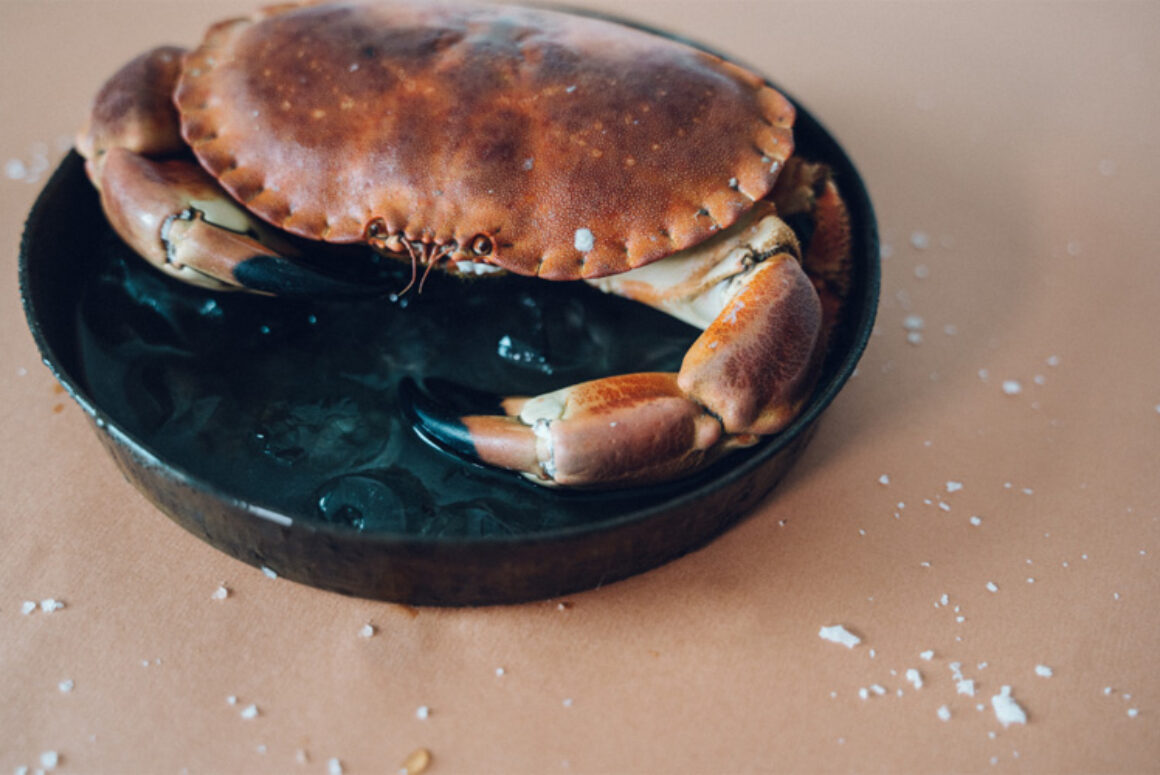 Global Opportunity to Get People Hooked on Welsh Seafood