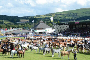 Livestock and Equine entries come flooding in for this years’ Royal Welsh Show!
