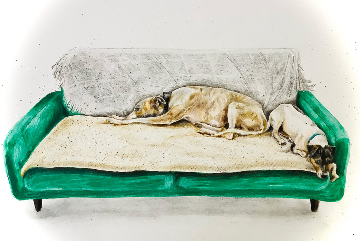 Illustrated and Dovetailed with Tywi Valley Open Studios