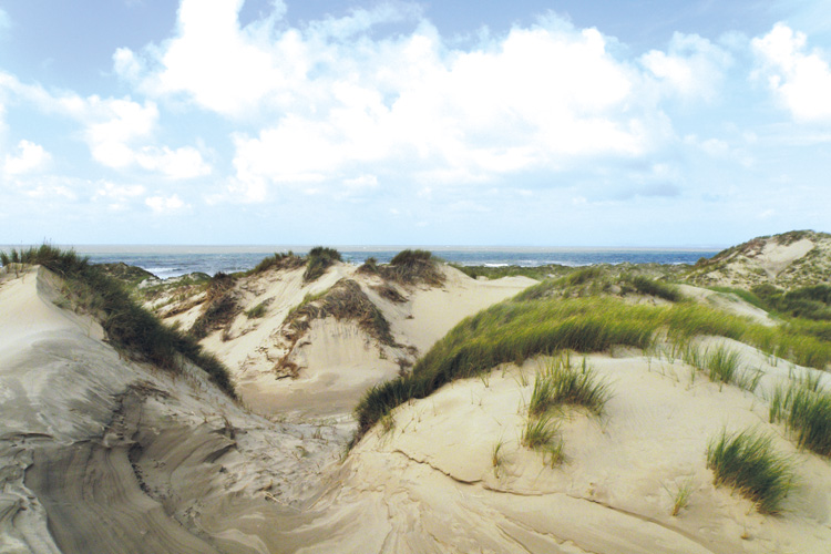 Where to Find Wildlife in Wales