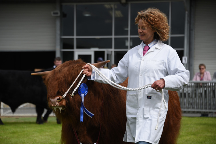 The Royal Welsh show season begins in style at the Smallholding and Countryside Festival