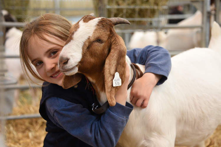 The Royal Welsh show season begins in style at the Smallholding and Countryside Festival
