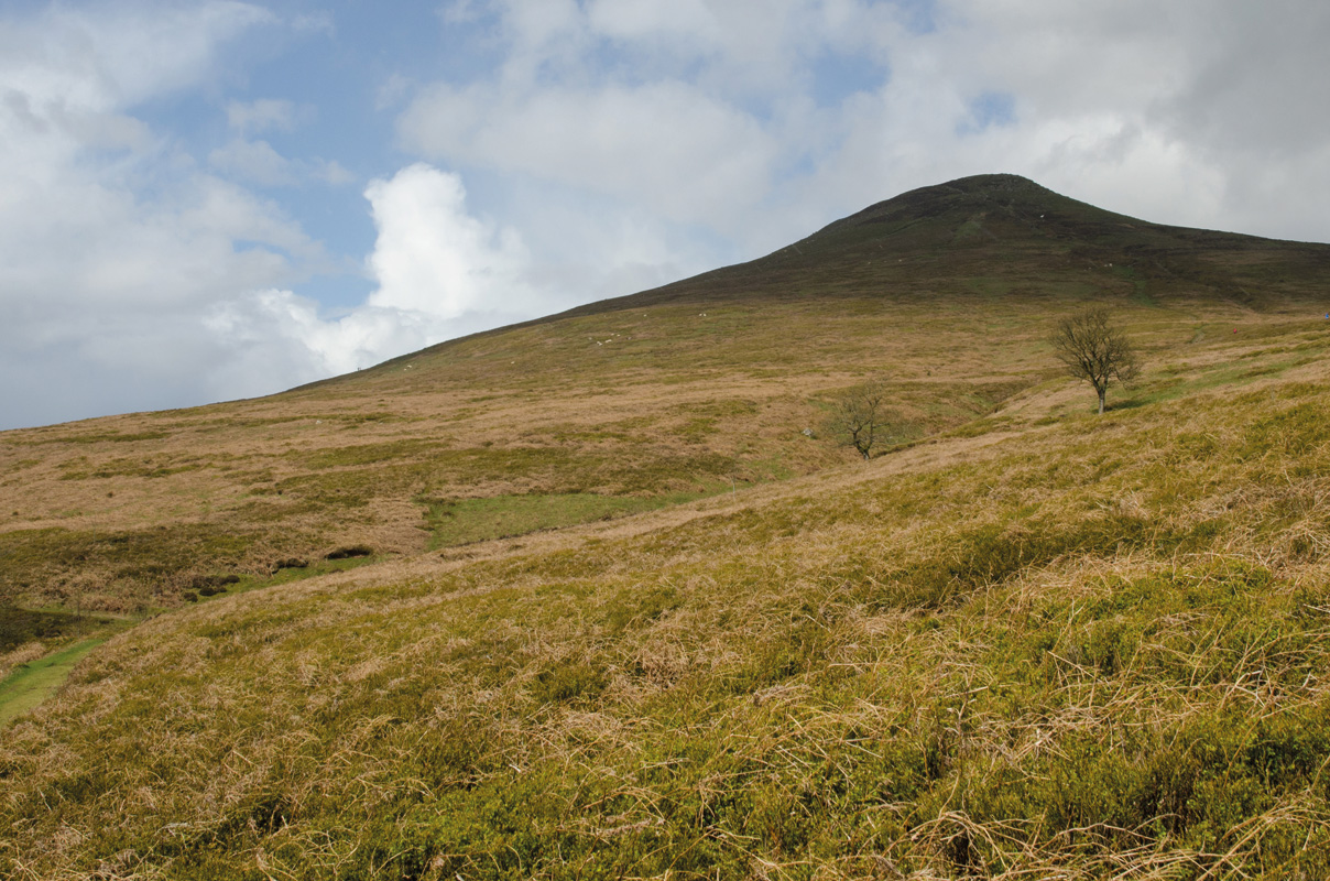 Sugar Loaf & Allt Deri