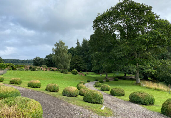 Evancoyd Court