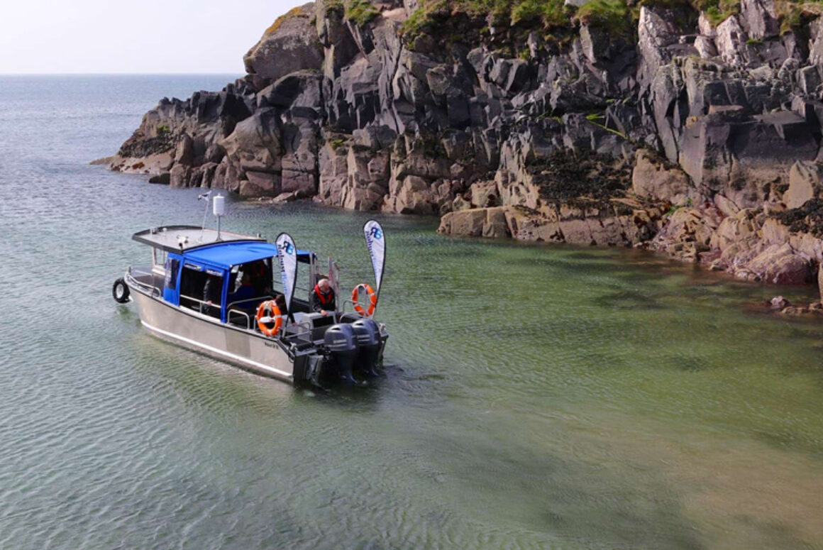 Have you Tasted the Ferry Sandwich?