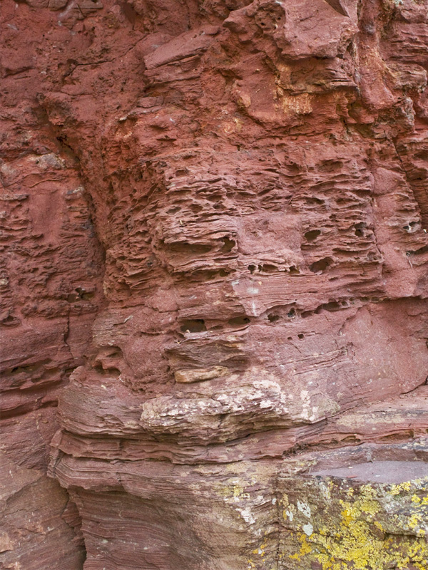 Sandstone cliff at Laugharne Sandstone cliff at Laugharne